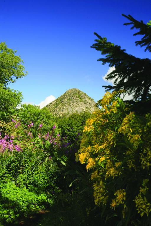Hotel Le Passage De Vallon Dış mekan fotoğraf